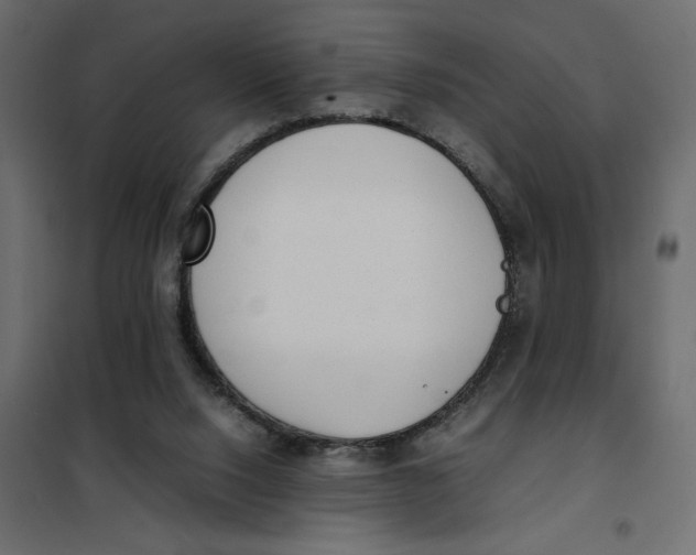 X0000101990064200808081646