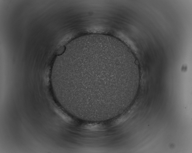 X0000101990065200808081646