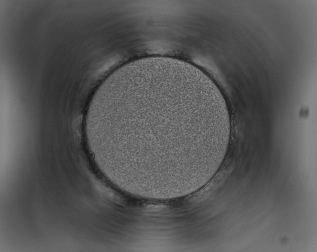 X0000101990066200808081646