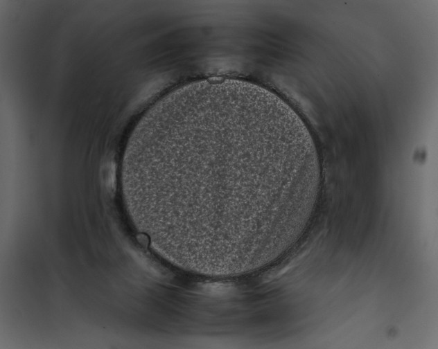 X0000101990067200808081646