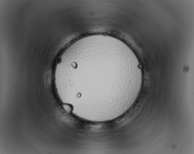 X0000101990068200808081646