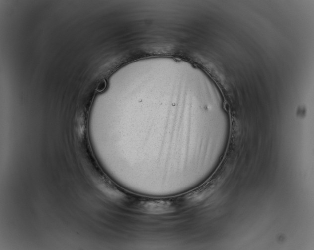 X0000101990069200808081646