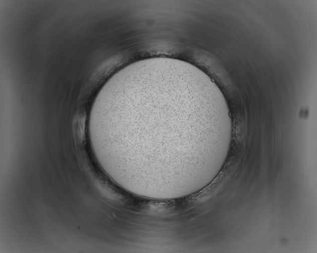 X0000101990070200808081646