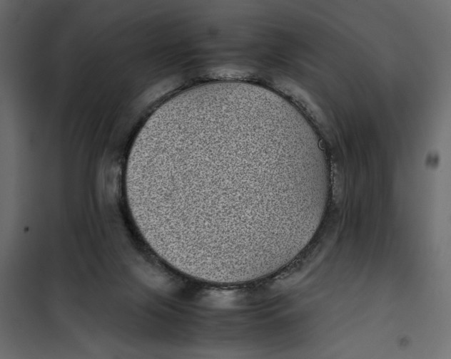 X0000101990071200808081646