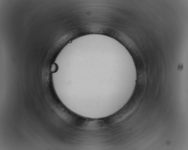 X0000101990072200808081646