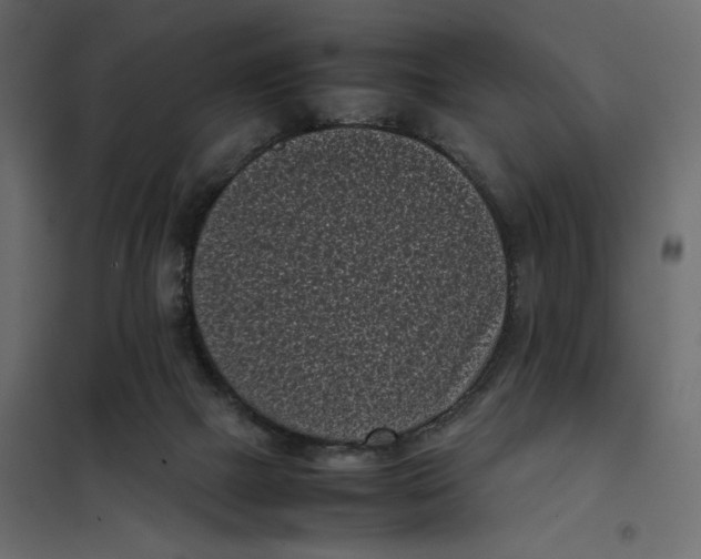 X0000101990073200808081646