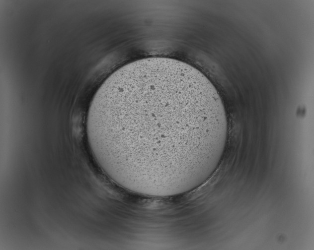 X0000101990074200808081646