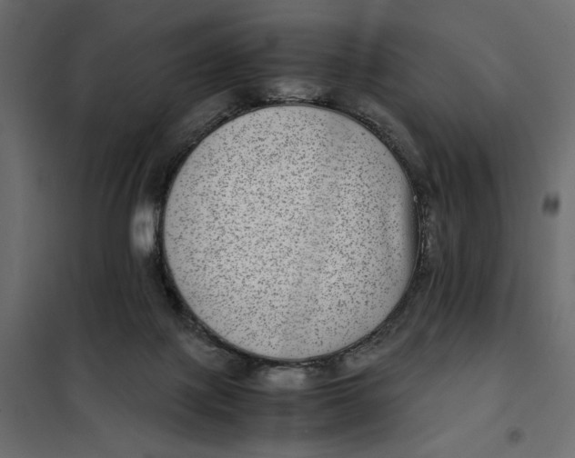 X0000101990075200808081646
