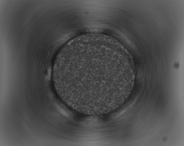 X0000101990076200808081646