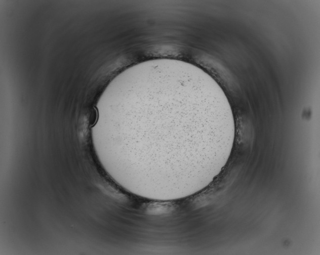 X0000101990077200808081646