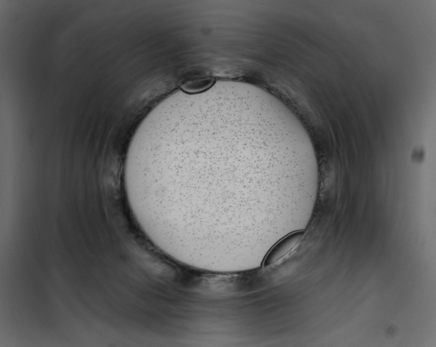X0000101990078200808081646