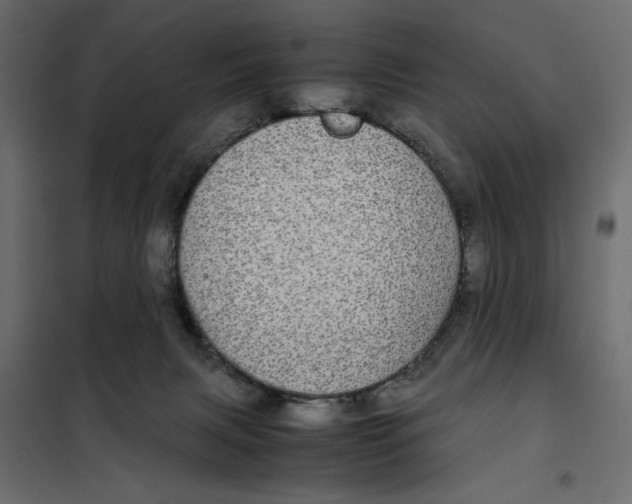 X0000101990079200808081646