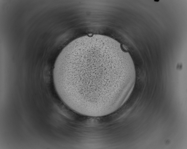 X0000101990080200808081646