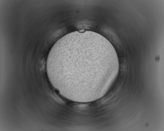 X0000101990081200808081646