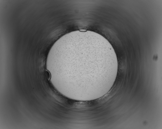 X0000101990082200808081646