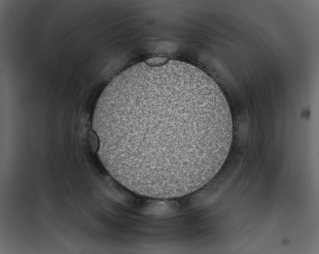 X0000101990083200808081646
