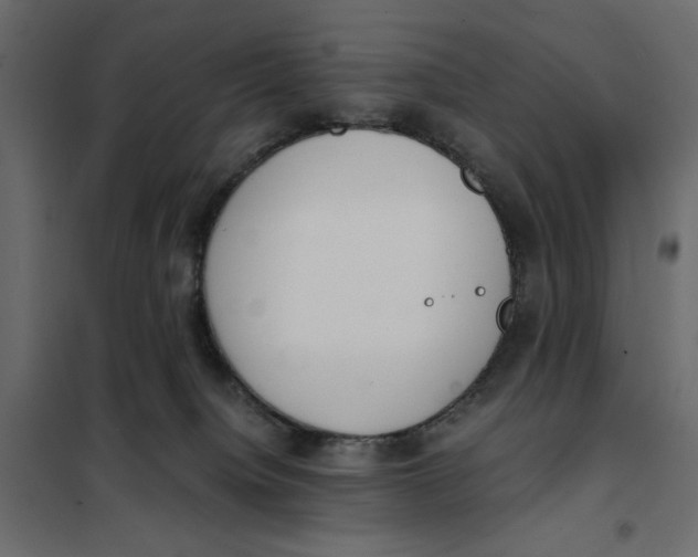 X0000101990084200808081646