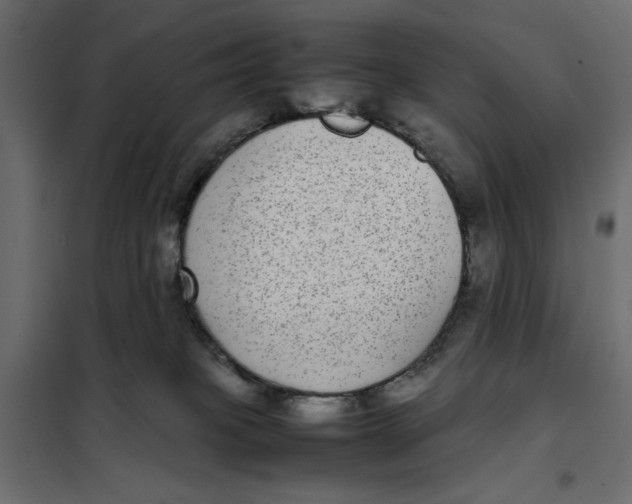 X0000101990085200808081646