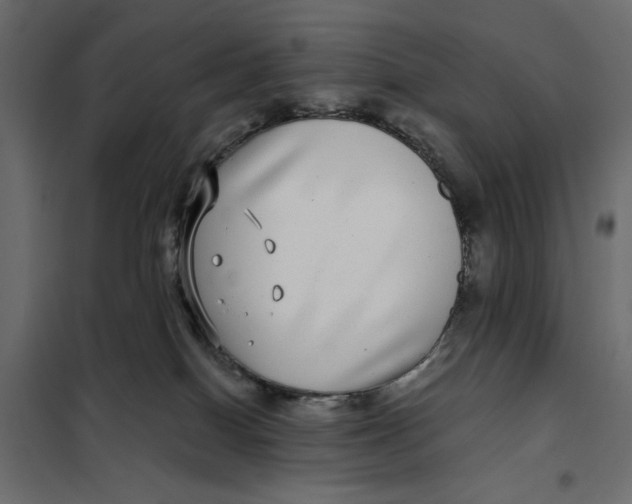 X0000101990086200808081646