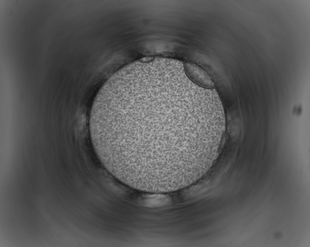 X0000101990087200808081646