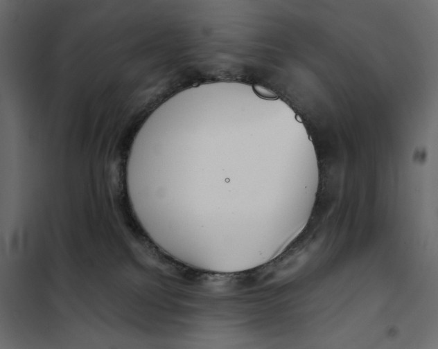 X0000101990088200808081646