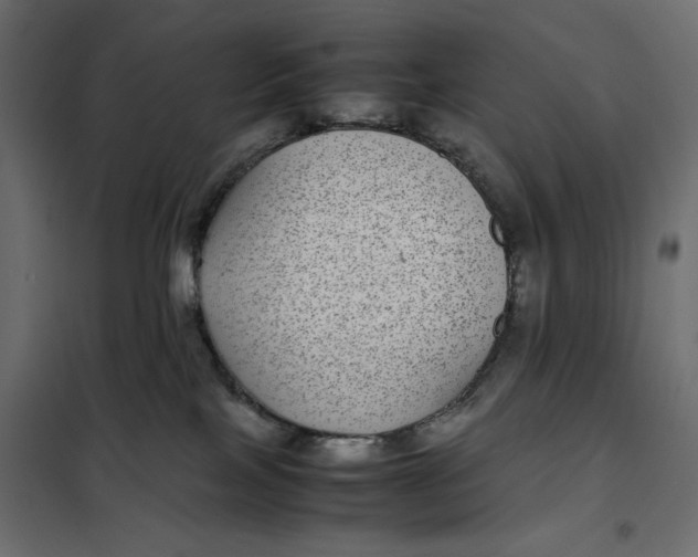 X0000101990089200808081646