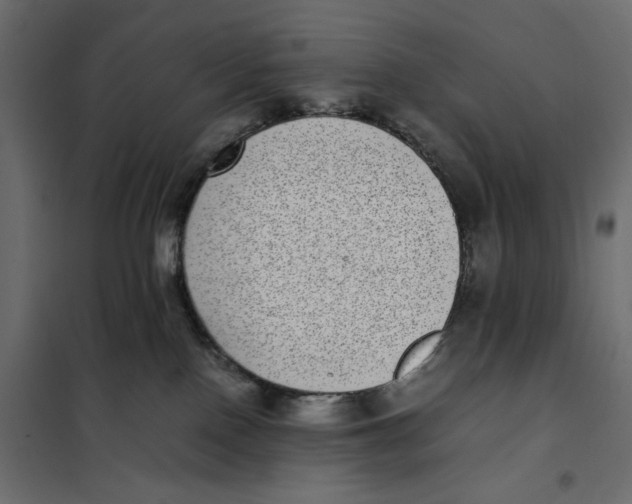 X0000101990090200808081646