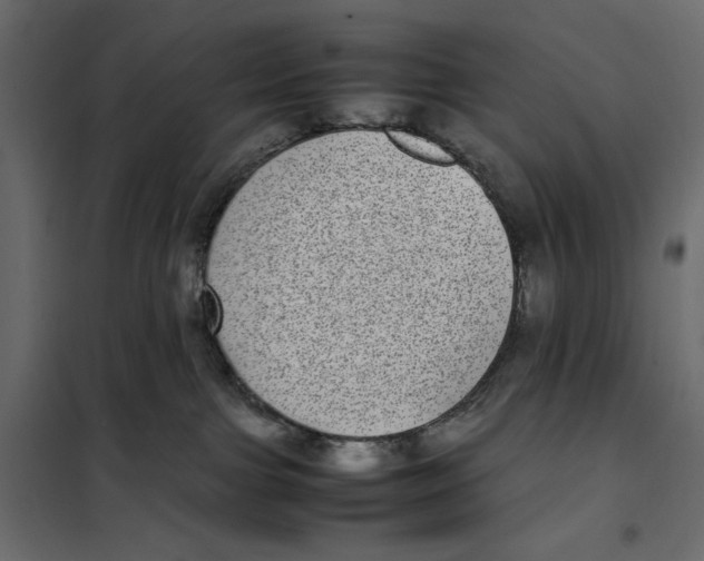 X0000101990091200808081646
