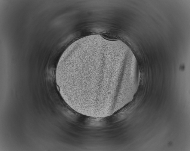 X0000101990093200808081646