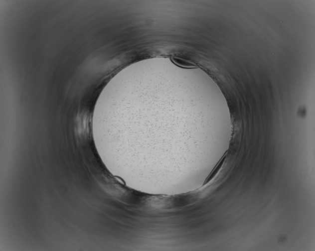 X0000101990094200808081646
