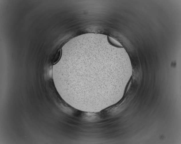 X0000101990095200808081646