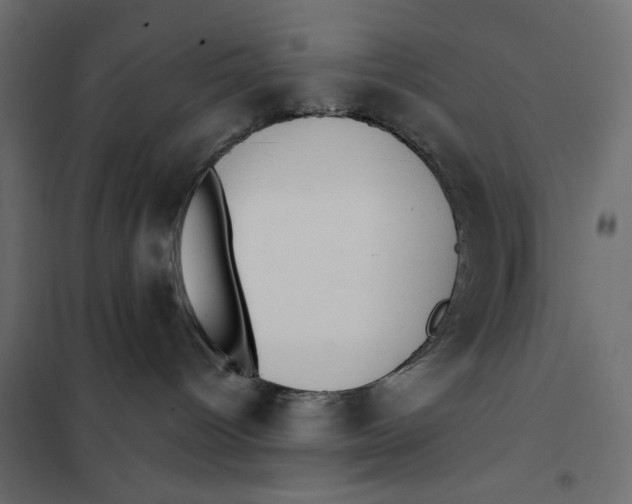 X0000101990096200808081646