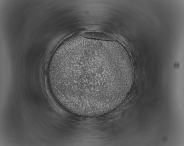 X0000101990097200808081646