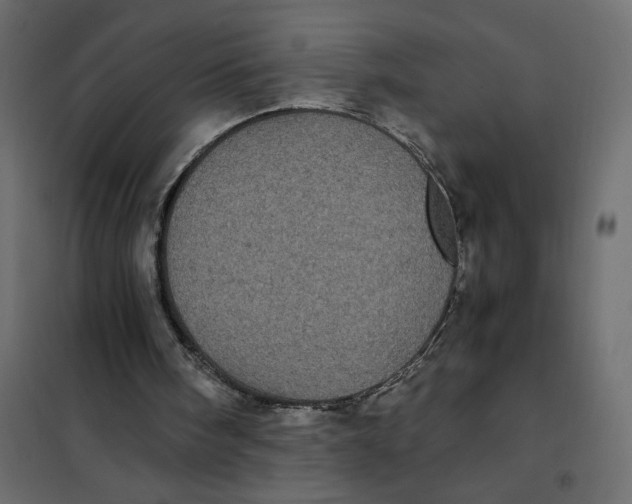X0000101990098200808081646