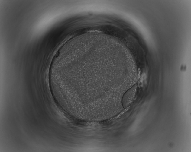 X0000101990099200808081646