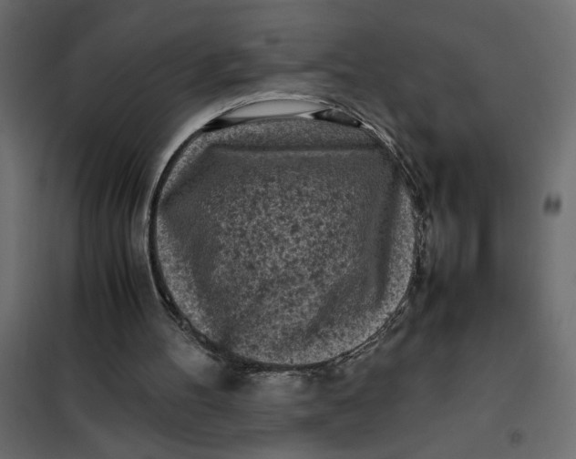 X0000101990100200808081646