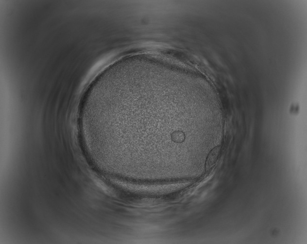 X0000101990101200808081646