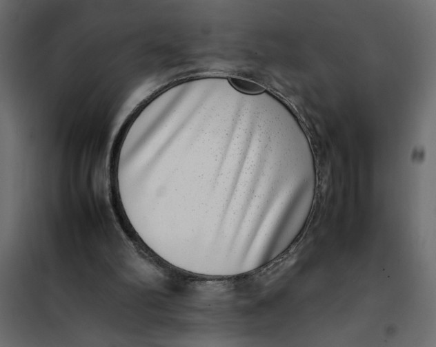 X0000101990102200808081646