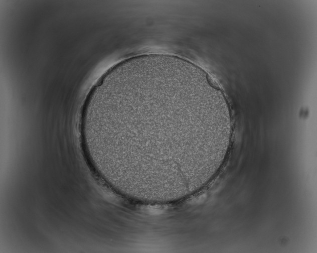 X0000101990103200808081645