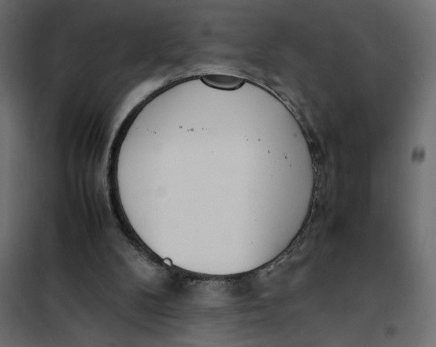 X0000101990104200808081645