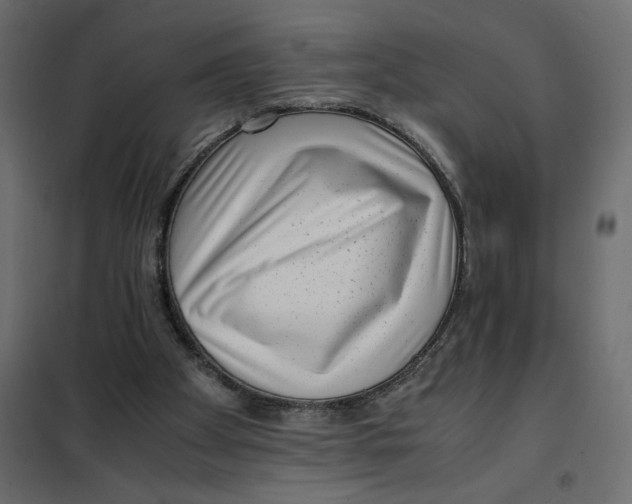 X0000101990105200808081645