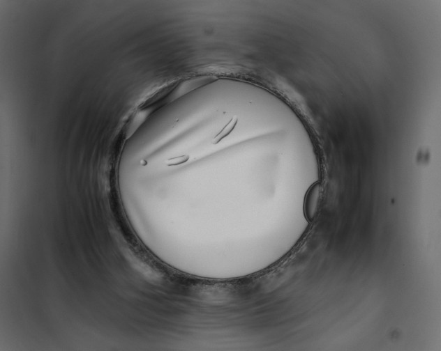 X0000101990106200808081645