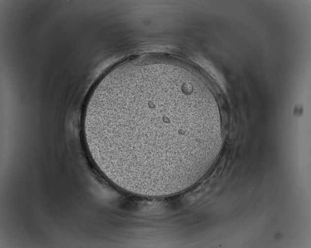 X0000101990107200808081645