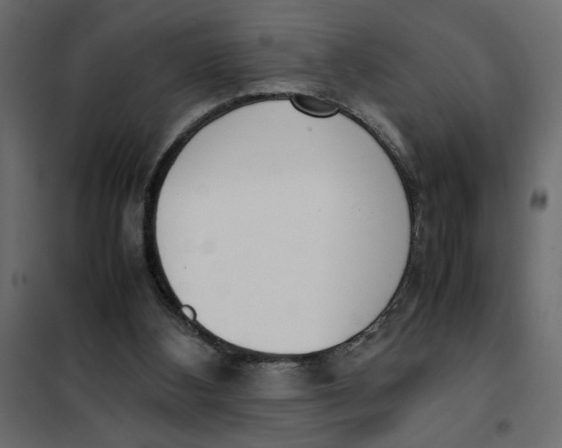 X0000101990108200808081645
