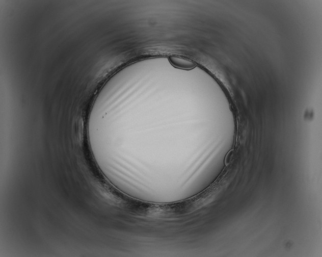 X0000101990109200808081645
