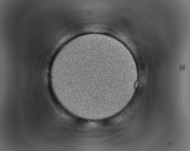 X0000101990111200808081645