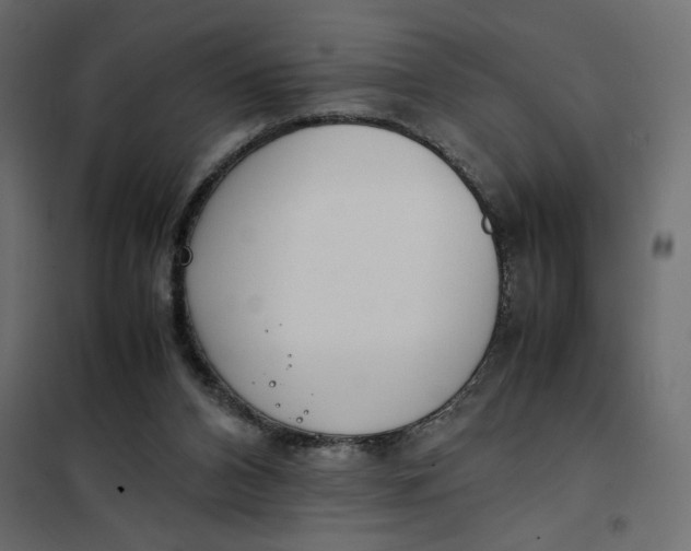 X0000101990112200808081645