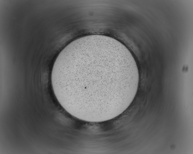 X0000101990113200808081645