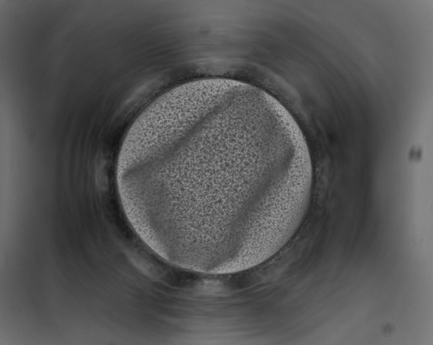 X0000101990114200808081645