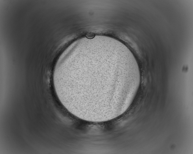 X0000101990115200808081645
